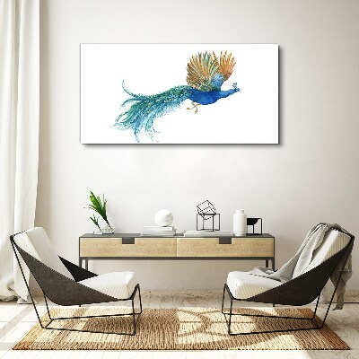 Colorful peacock in motion Print on canvas
