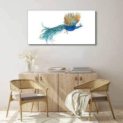 Colorful peacock in motion Print on canvas