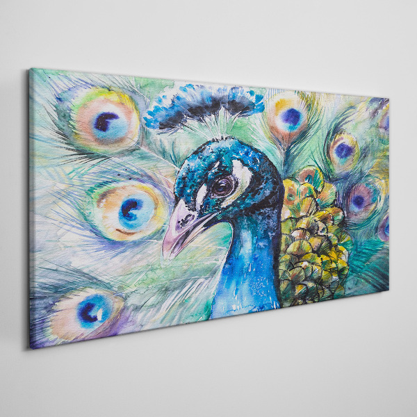 Colorful peacock among feathers Print on canvas