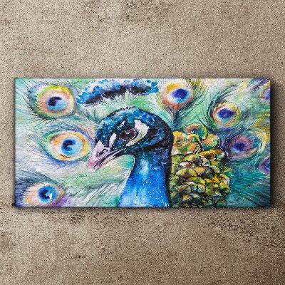 Colorful peacock among feathers Print on canvas