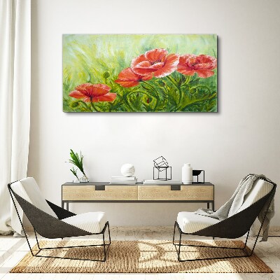 Flowers plants poppies Canvas Wall art