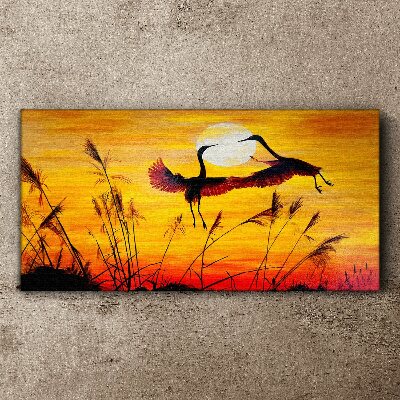 Dancing cranes at sunset Print on canvas