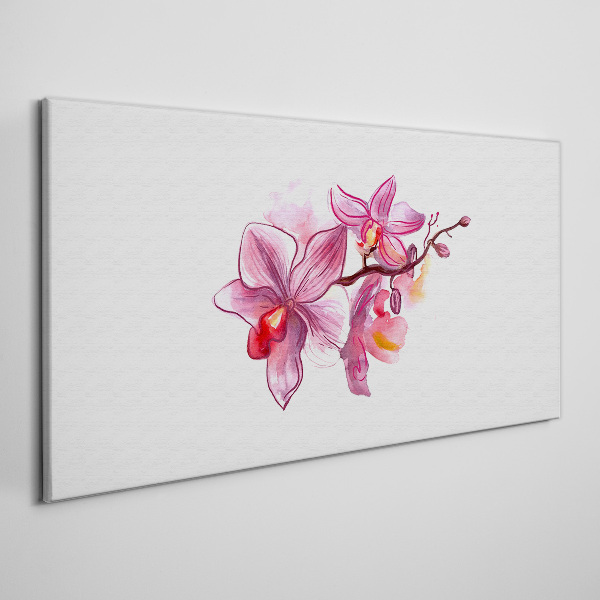 Pink orchids on white background Canvas wall art