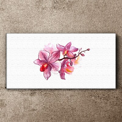 Pink orchids on white background Canvas wall art