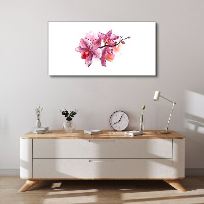 Pink orchids on white background Canvas wall art