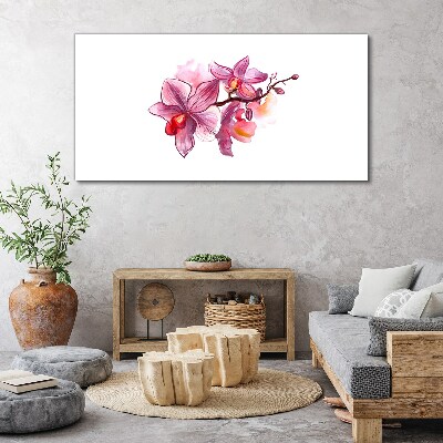 Pink orchids on white background Canvas wall art