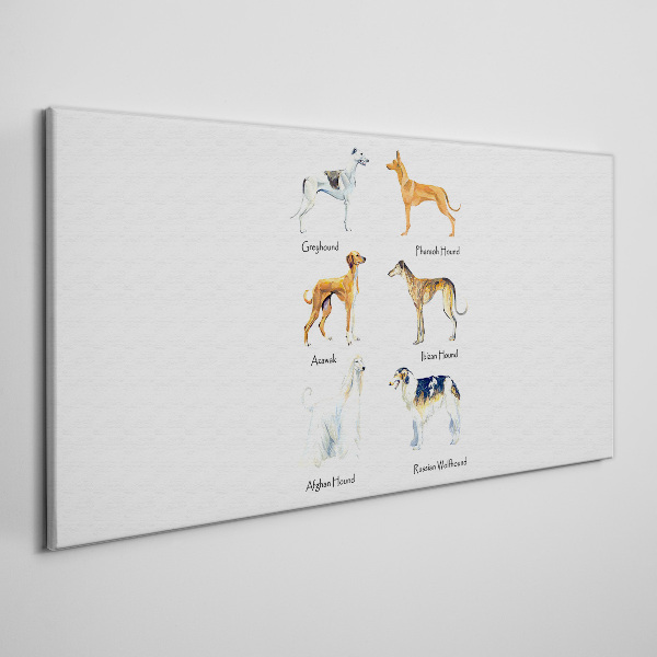 Breeds of dogs of the chrts Print on canvas