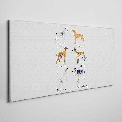 Breeds of dogs of the chrts Print on canvas