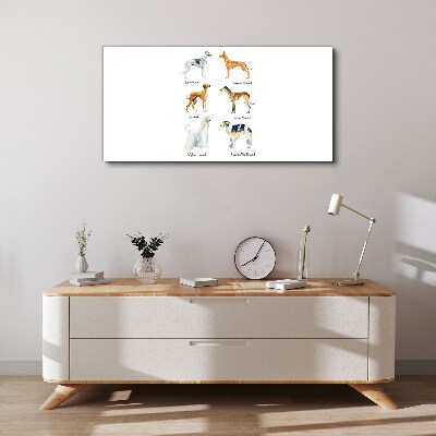 Breeds of dogs of the chrts Print on canvas