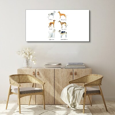 Breeds of dogs of the chrts Print on canvas