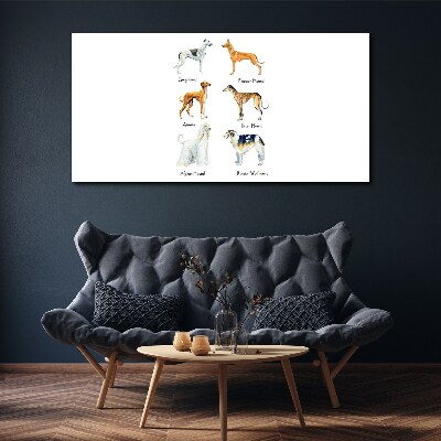 Breeds of dogs of the chrts Print on canvas