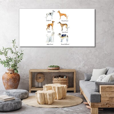 Breeds of dogs of the chrts Print on canvas