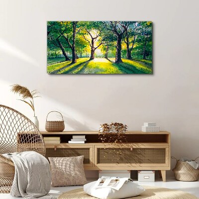 Golden rays in the forest grove Print on canvas