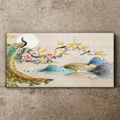 Peacock in Blooming Landscape Print on canvas