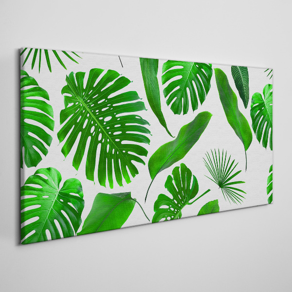 Tropical green in leaves Print on canvas