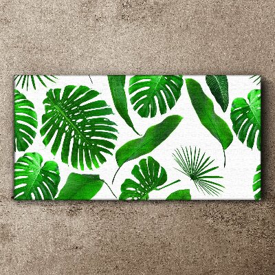 Tropical green in leaves Print on canvas