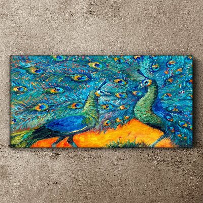 Dancing peacocks in a colorful display Print on canvas