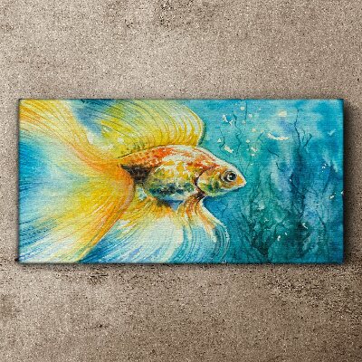 Goldfish in colored water Canvas wall art