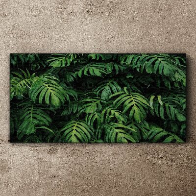 Green jungle Canvas wall art