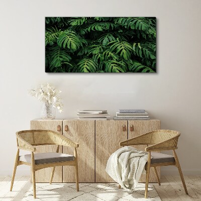 Green jungle Canvas wall art
