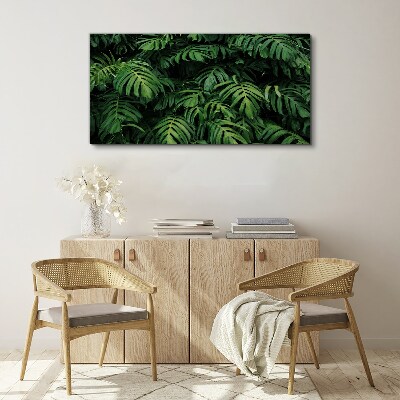 Tropical leaves Canvas print