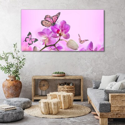 Nature flowers butterfly Canvas Wall art