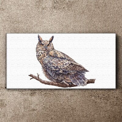 Owl on a branch Print on canvas