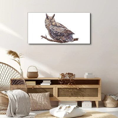 Owl on a branch Print on canvas