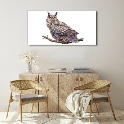 Owl on a branch Print on canvas