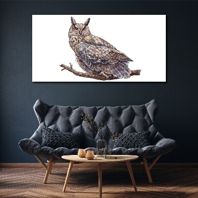Owl on a branch Print on canvas