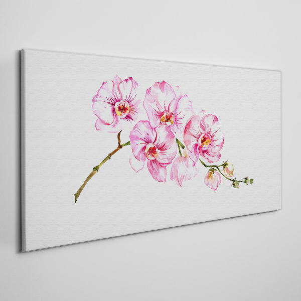 Pink orchids on a white background Print on canvas