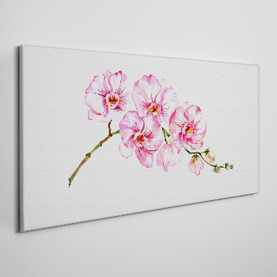 Pink orchids on a white background Print on canvas