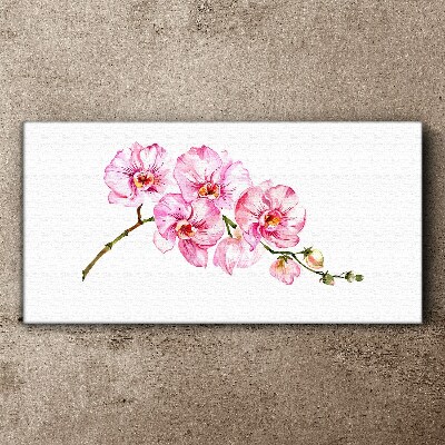 Pink orchids on a white background Print on canvas