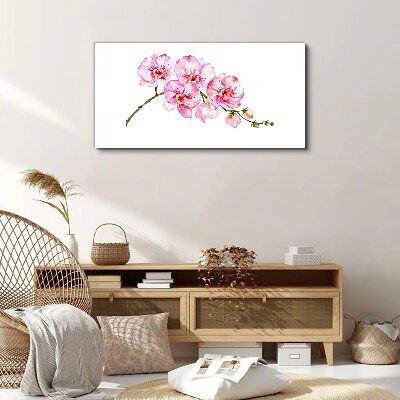 Pink orchids on a white background Print on canvas