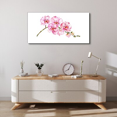 Pink orchids on a white background Print on canvas