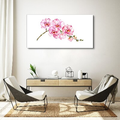 Pink orchids on a white background Print on canvas