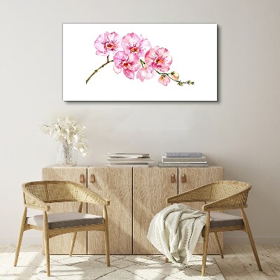 Pink orchids on a white background Print on canvas