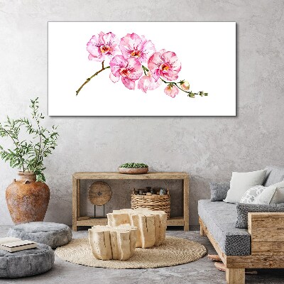 Pink orchids on a white background Print on canvas