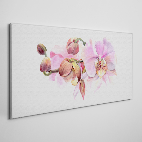 Orchid in pastel shades Print on canvas
