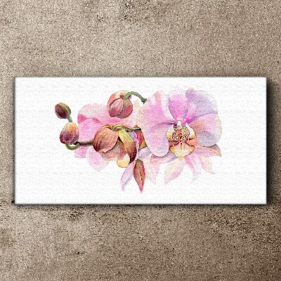 Orchid in pastel shades Print on canvas