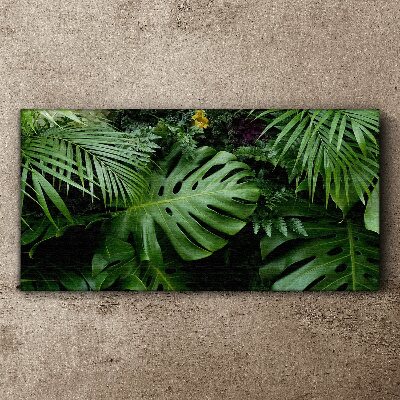 Tropical greenery in the depths of nature Print on canvas