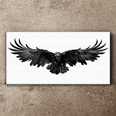 Black Eagle in Flight Canvas wall art