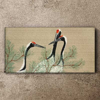 Three cranes among the pine branches Print on canvas