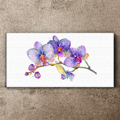 The floral beauty of orchids Print on canvas