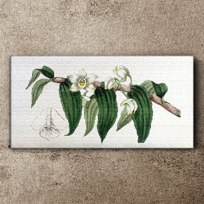 Floral arrangement with leaves Print on canvas