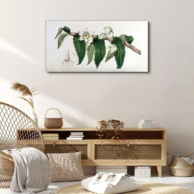 Figure orchid flower branch Canvas print