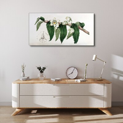 Floral arrangement with leaves Print on canvas