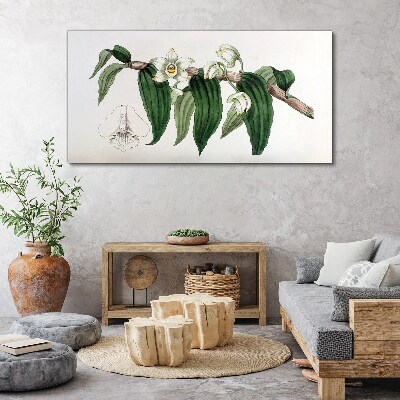 Figure orchid flower branch Canvas print