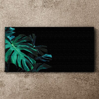 Green leaves on a black background Print on canvas