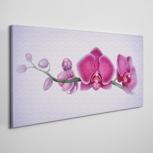 Orchids in delicate shades of pink Canvas wall art